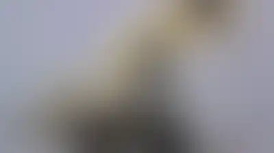 استئناف شحنات خام الأورال الروسي عبر ناقلات عملاقة لآسيا