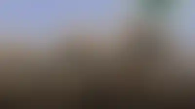 تعاون سري بين السعودية وكيان العدو لمواجهة القوات اليمنية