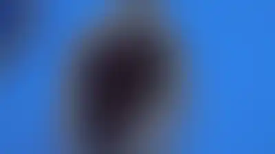 هوركاتش يطيح بديوكوفيتش من بطولة شنغهاي للتتس بفوزه الأول عليه