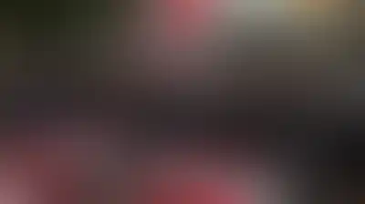 استشهاد ثلاثة مواطنين وإصابة آخرين جراء قصف العدو الإسرائيلي جنوب لبنان