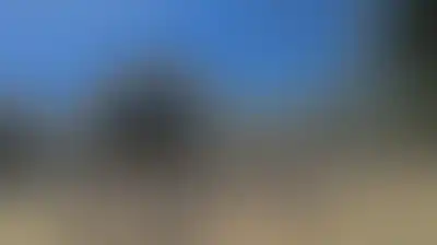 عشرات المستوطنين يقتحمون الأقصى بحماية شرطة العدو الصهيوني