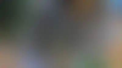 اقتحامات للعدو الإسرائيلي واعتداءات للمستوطنين في الضفة والقدس
