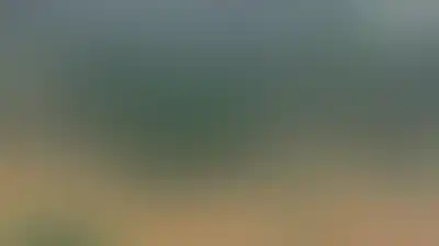 ارتفاع حصيلة ضحايا فيضانات جنوب الصين إلى 159 قتيلاً