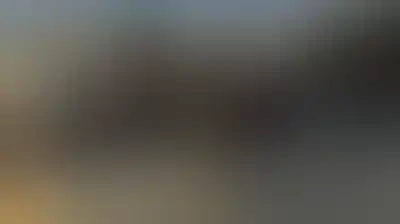 العدو الصهيوني يمنع طواقم "مقاومة الجدار" من دخول دير جرير ويعلنها منطقة عسكرية