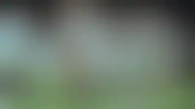 ريال مدريد يطمح لمواصلة انتصاراته في مواجهة ريال بيتيس غدا بالدوري الإسباني