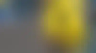 يانج أفريكانز يكتسح سي إف إف إيه برباعية في دوري أبطال إفريقيا