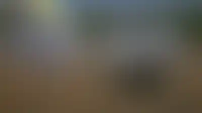مدفعية العدو الإسرائيلي تستهدف شمال بيت جن في ريف دمشق