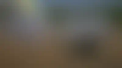 قصف مدفعي للعدو الصهيوني يستهدف المنصوري وزبقين ونسف عنيف في الخيام
