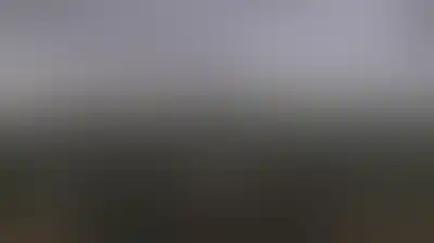 ملايين اليمنيين يجددون الولاء والوفاء لرسول الإنسانية في ذكرى مولده