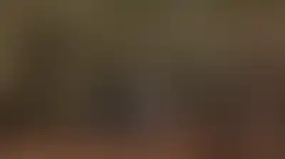 العدو الإسرائيلي ومستوطنوه يعتدون على مزارعين فلسطينيين ويمنعوهم من قطف ثمار الزيتون جنوب جنين  