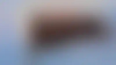 بيونغ يانغ تهدد الولايات المتحدة وحلفاءها برد قوي ومتناظر