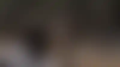 مستوطنون يهاجمون قاطفي الزيتون برام الله ونابلس و4 اصابات في اعتداء استيطاني في سلفيت