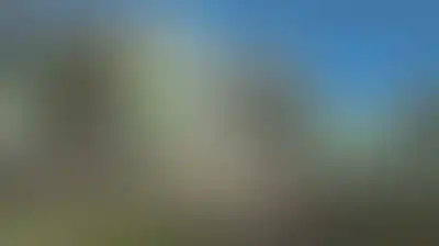 بعد قطع العلاقات مع أبوظبي .. الجزائر تغلق أجوائها أمام طائرات الامارات