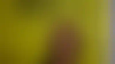 "منظمة العفو" تدعو الاتحاد الأوروبي إلى اتخاذ خطوات عملية لدعم الجنائية الدولية