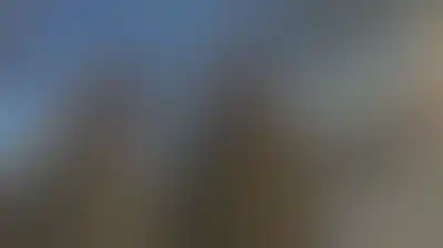 اللواء عبداللهي: مضيق هرمز مغلق تماماً ولا أمن لأي سفينة مخالفة للترتيبات الإيرانية