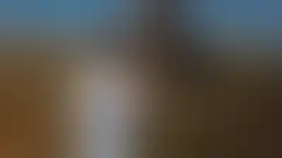 مستوطنون يطلقون النار على منازل فلسطينية ويعتدون على المزارعين في الضفة الغربية