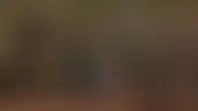 العدو الإسرائيلي يمنع الفلسطينيين من قطف الزيتون في يعبد جنوب غرب جنين