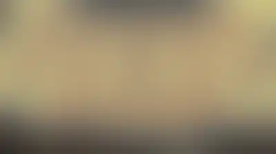 شهيدان و44 جريح جرّاء 1684 انتهاكاً للعدو الإسرائيلي ومستوطنيه في الضفة الأسبوع الماضي