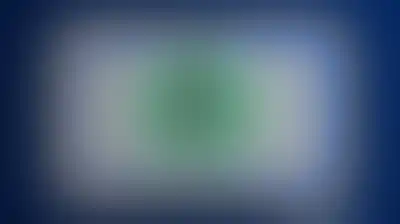 اللجنة المنظمة تحدد الساحات النسائية في المحافظات لإحياء ذكرى المولد النبوي