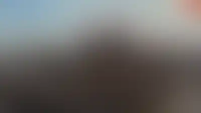 الانتصارات في الساحل الغربي.. تحوّل استراتيجي في موازين القوى