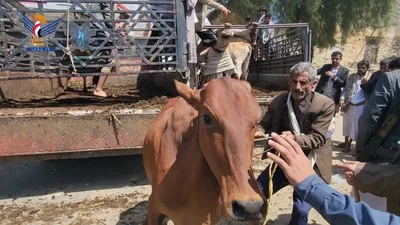 جمعية التوفيق التنموية بصعدة  تدشن المرحلة الأولى من مشروع التمكين الاقتصادي
