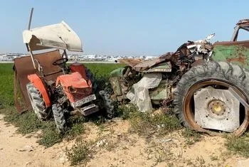 الأمم المتحدة: 3% فقط من أراضي غزة الزراعية لا تزال صالحة