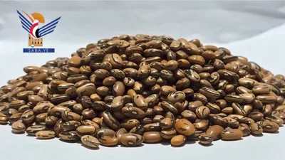 الكنوز الوراثية اليمنية .. ثروة استراتيجية وسيادية تعادل في قيمتها القومية أرصدة النفط والذهب