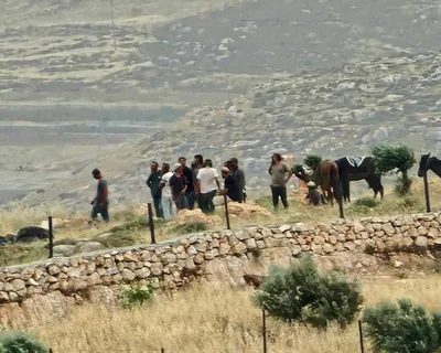 مستوطنون يهاجمون قرية المغير شمال رام الله