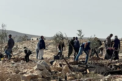 هجمات واعتداءات للمستوطنين في عدة مناطق برام الله وجنين