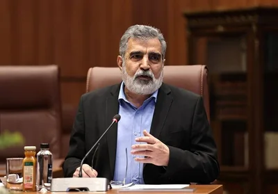 إيران تدعو لسياسة "عدم التسامح مطلقاً" مع استهداف المنشآت النووية السلمية