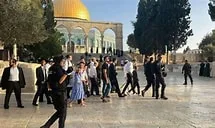 145 مستوطنا يقتحمون الأقصى و170 آخرون يدخلونه تحت مسمى "السياحة"