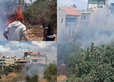 اندلاع حريق في أراضٍ ببيت عنان جراء قنابل غاز اطلقها العدو الإسرائيلي وهدم منازل في مدينة رهط