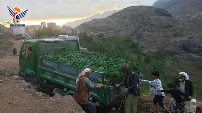محافظة صنعاء تعزز أمنها الغذائي بـ 31 نشاطًا زراعيًا خلال الربع الأول 1448ھ