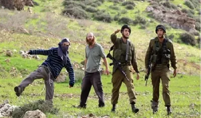 إصابة فلسطينيين جرّاء اعتداءات المستوطنين في بيت لحم والأغوار الشمالية