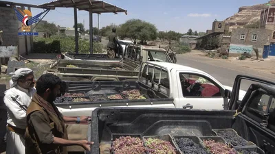 تسيير قافلة العنب التاسعة من مديرية بني حشيش دعمًا للمرابطين في الجبهات